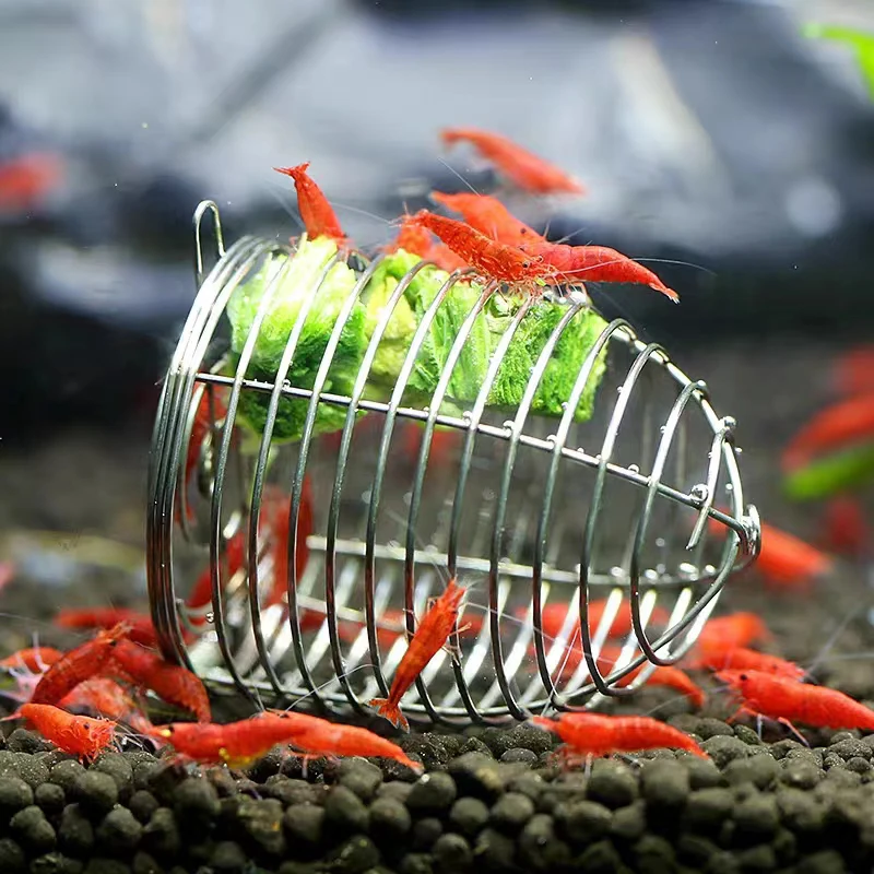 Aquarium Fish Feeder - Roestvrij staal aquarium klein visaas feeder