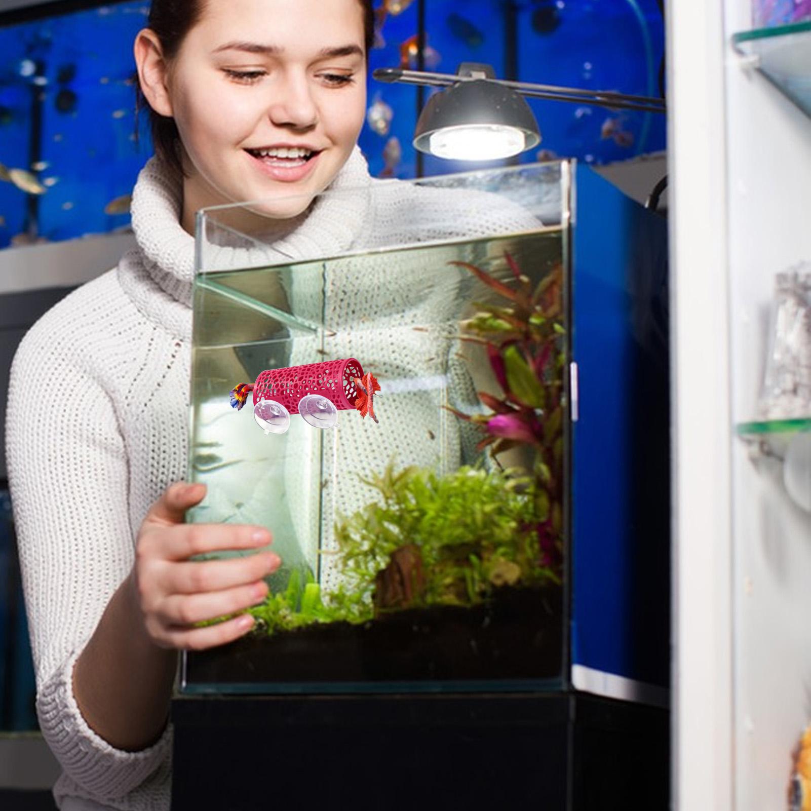Aquarium Fish Youtube - Betta Habitat Rustplaats Ornament Vis Tunnel