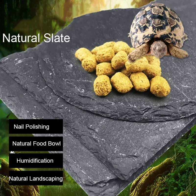 Aquarium Fish Feeder - Natuurlijk Leisteen Aquarium Reptiel Feeder Kom