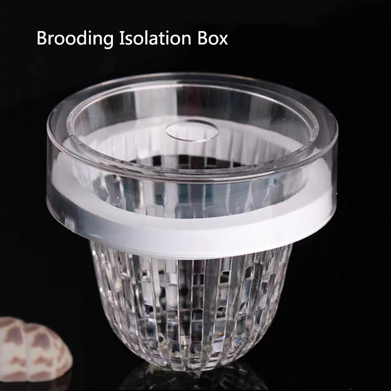 Aquarium Fish Feeder - Acryl Drijvende Viskweek Isolatiebox Aquarium Fokker