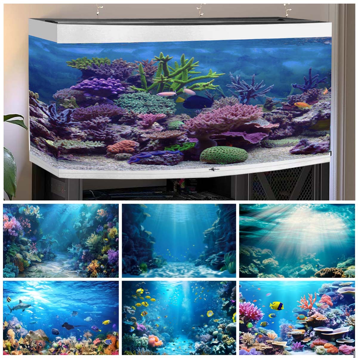 Aquarium Fish World - Onderwaterwereld Achtergronden voor Foto's Oceaan Vis