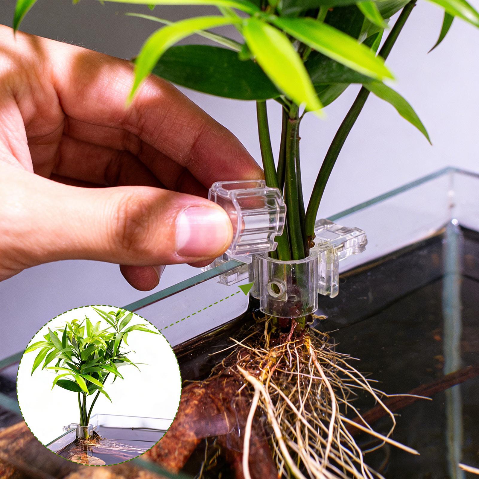 Aquarium Fish Feeder - Mini Aquarium Plantenpot 6 Stuks Aquarium