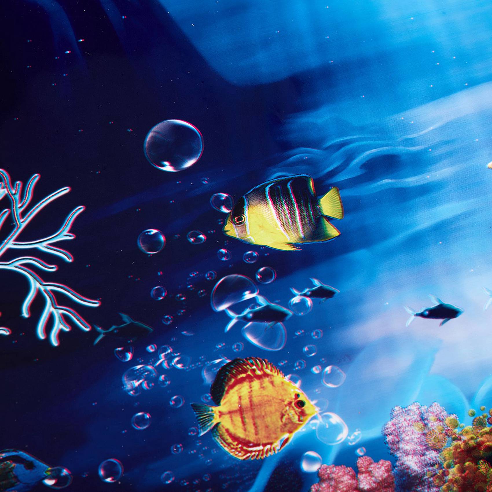 Aquarium Fish Poster - 2X Blauwe frisse zee achtergrond aquarium