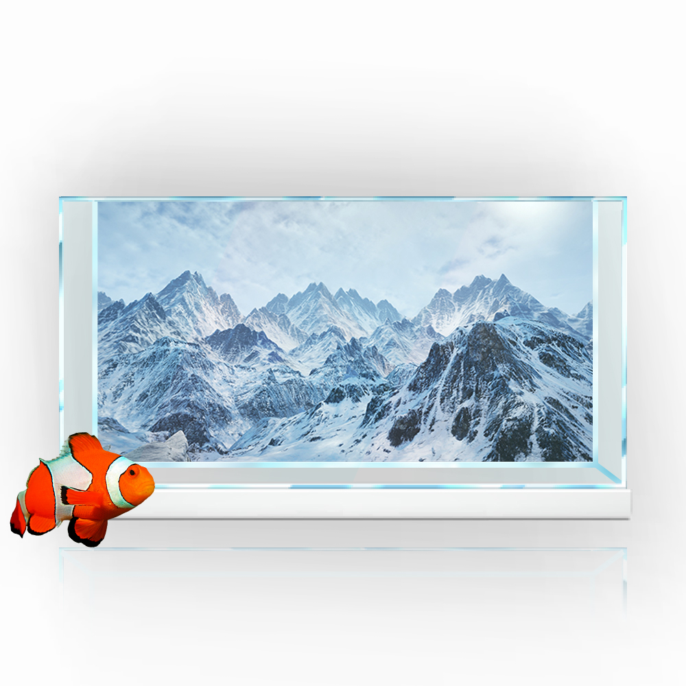 Aquarium Achtergrond Sticker,  - Aquarium Fish Poster recensie en prijs