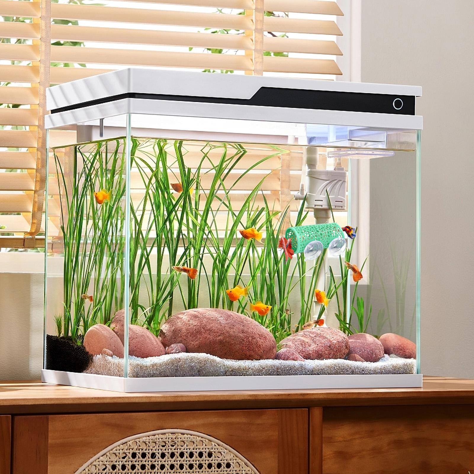 Betta Habitat Rustplaats Ornam - Aquarium Fish Youtube recensie en prijs