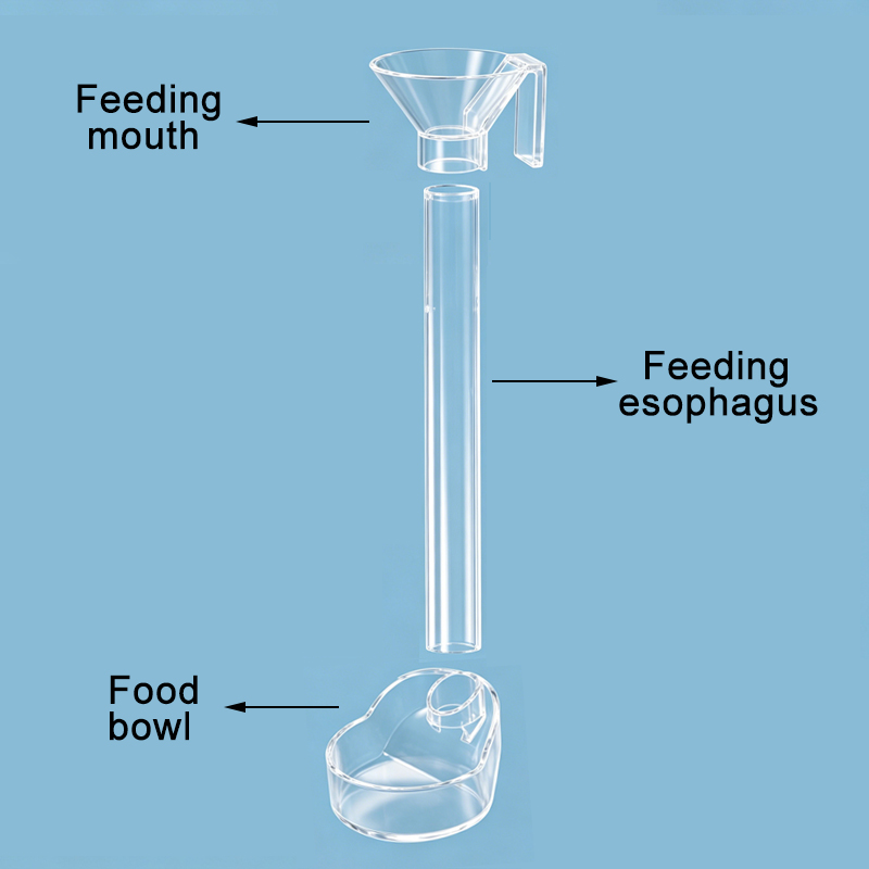 Acryl aquariumvisvoeder Transp - Aquarium Fish Feeder recensie en prijs