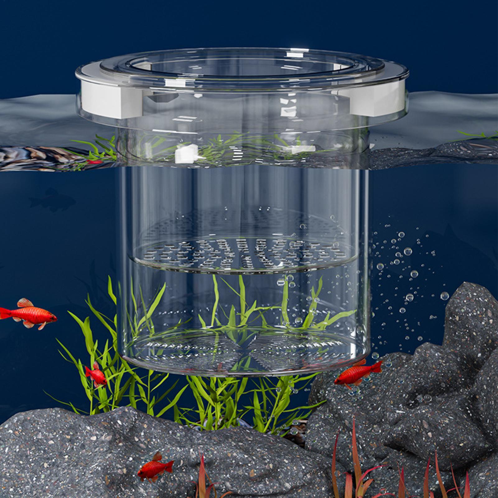 Drijvende viskweek isolatiebox - Aquarium Fish Feeder recensie en prijs