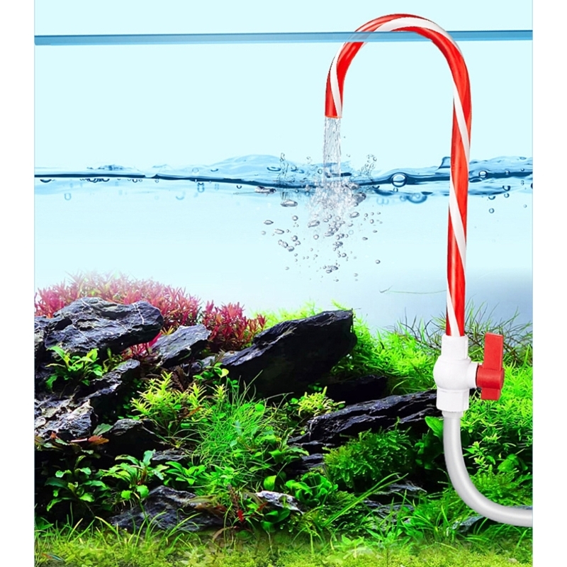 Aquariums navullingen accessoi - Aquarium Fish Youtube recensie en prijs