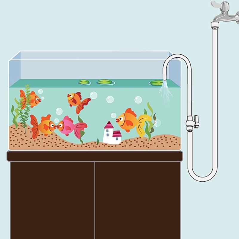Aquariums navullingen accessoi - Aquarium Fish Youtube recensie en prijs