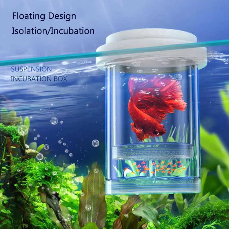 Plastic Drijvende Vis Fokken I - Aquarium Fish Feeder recensie en prijs