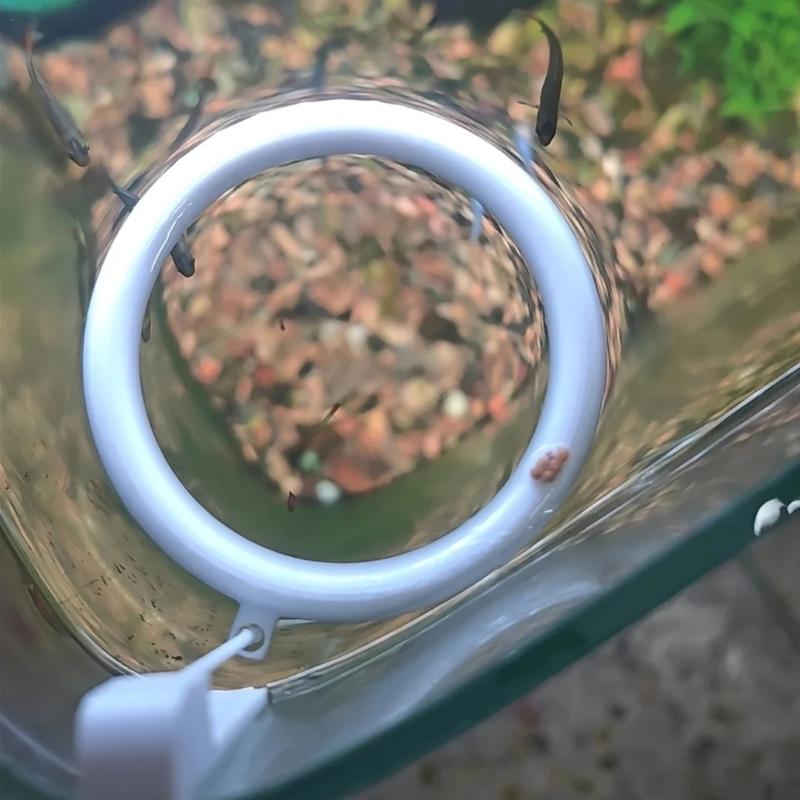 {QTG333} 1 Set 3D-geprinte zwe - Aquarium Fish Feeder recensie en prijs