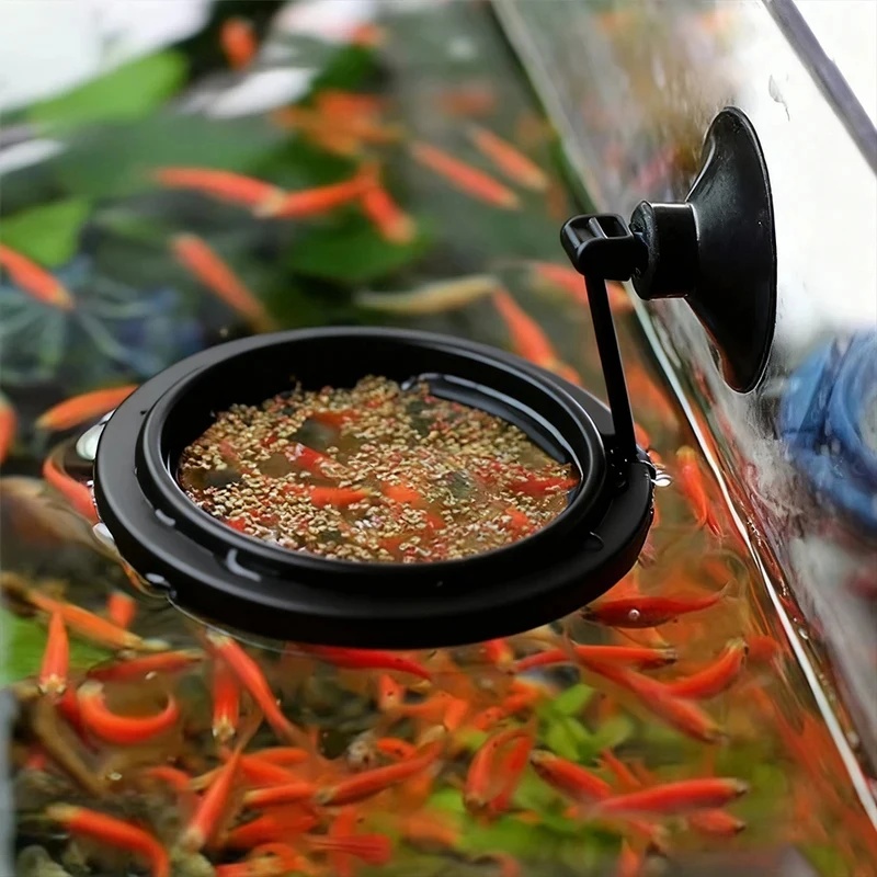 1/3 stuks Aquarium Visvoederri - Aquarium Fish Medicine recensie en prijs