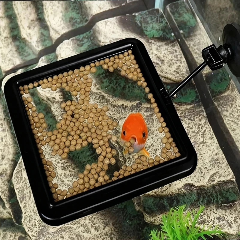 1/3 stuks Aquarium Visvoederri - Aquarium Fish Medicine recensie en prijs