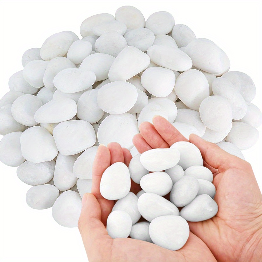 200/400g Witte Hooggepolijste  - Aquarium Fish Farm recensie en prijs