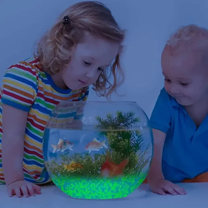 1000 stks 3-5mm Lichtgevende Z - Aquarium Fish Farm recensie en prijs