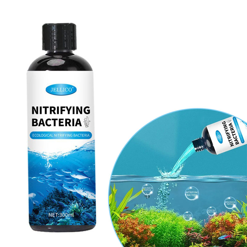 Nitrificerende bacteriën Vloei - Aquarium Fish Medicine recensie en prijs