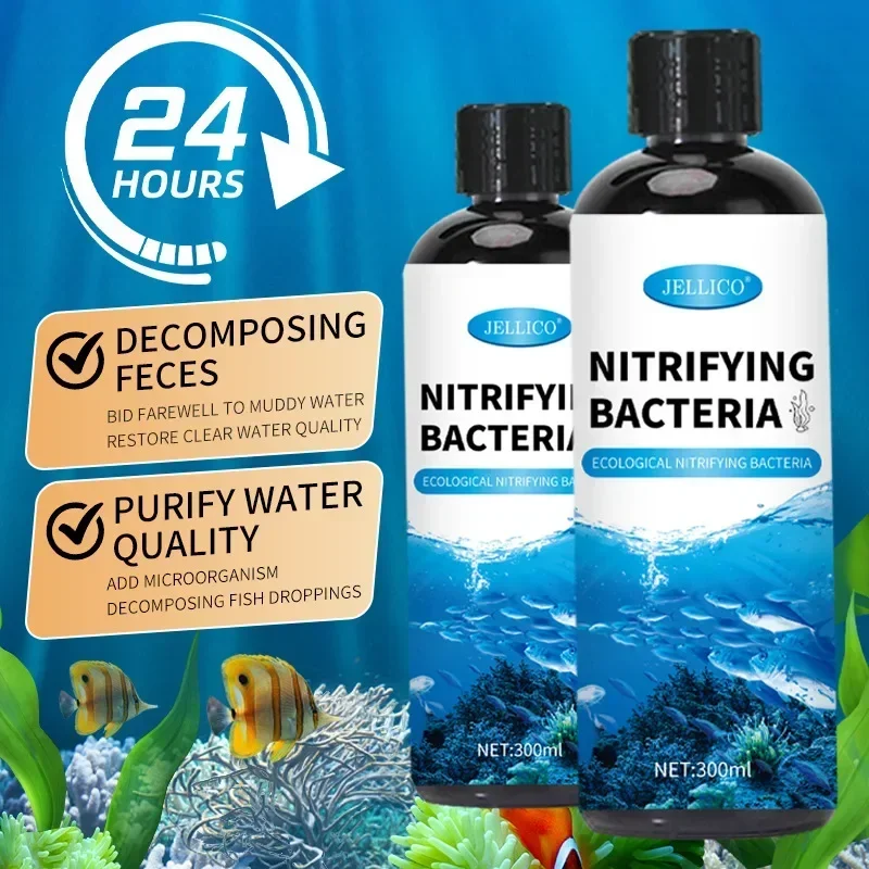 Nitrificerende bacteriën Vloei - Aquarium Fish Medicine recensie en prijs