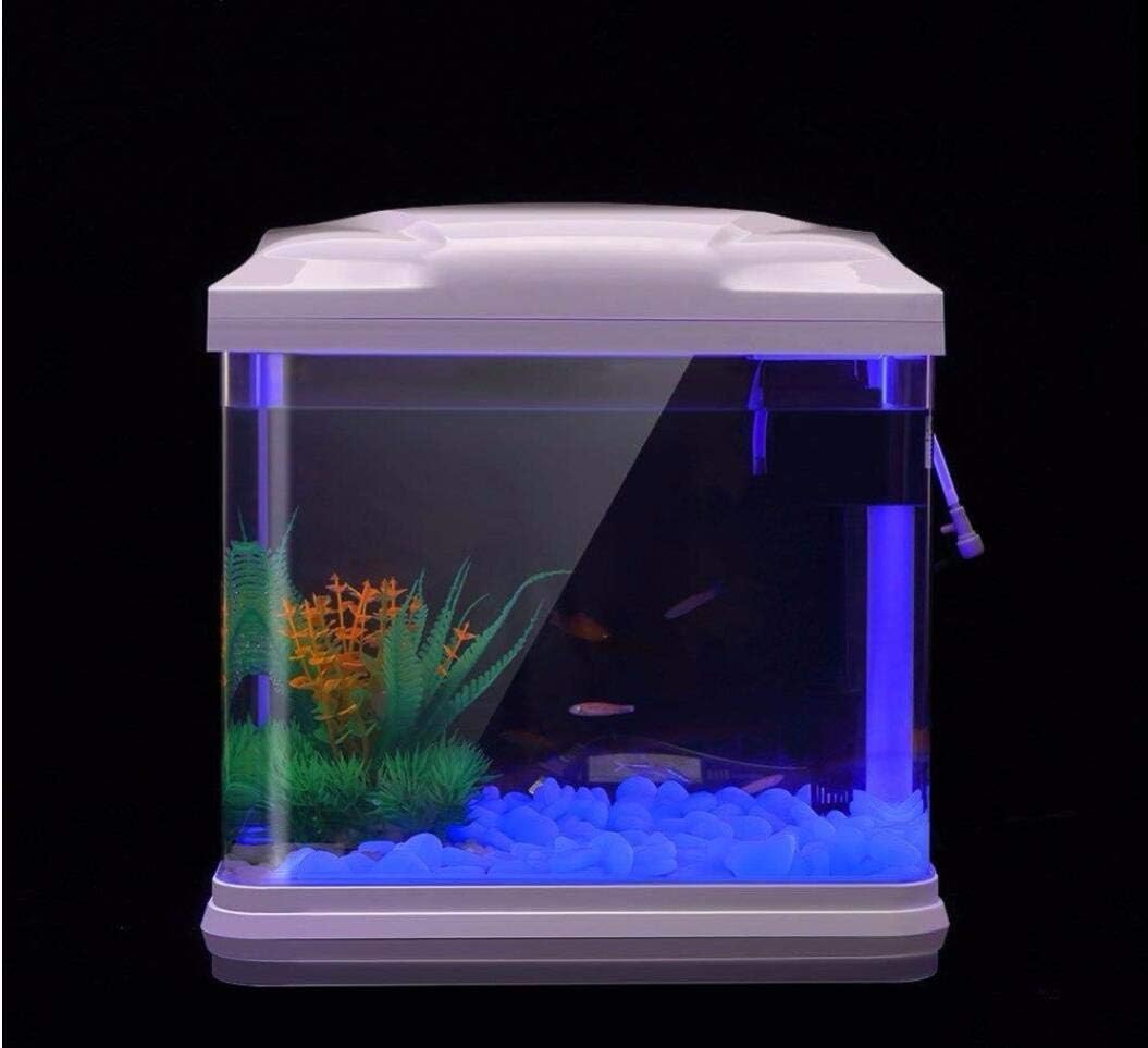 Aquarium Rotsen Glow Blue Kiez - Aquarium Fish Farm recensie en prijs