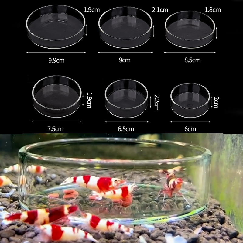 Garnalen Voerbak Hoge Transpar - Aquarium Fish Feeder recensie en prijs