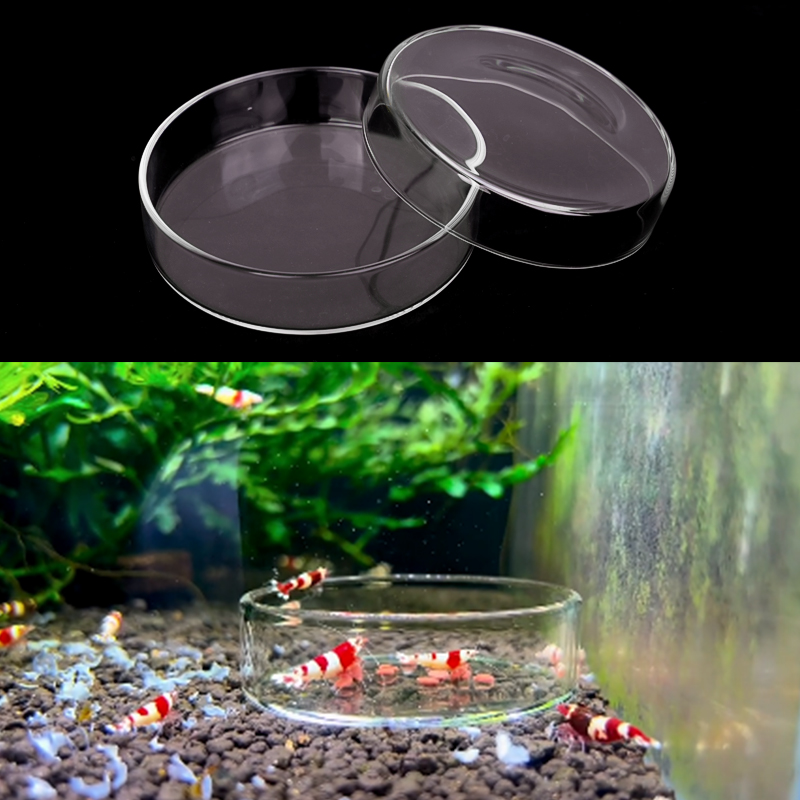 Garnalen Voerbak Hoge Transpar - Aquarium Fish Feeder recensie en prijs