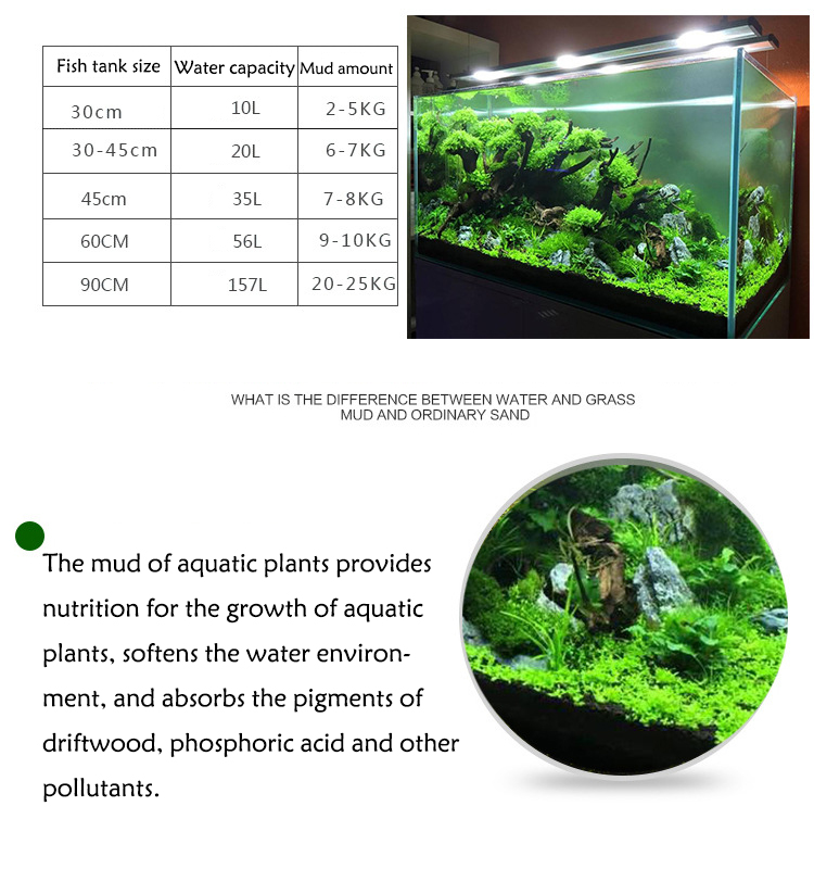 Aquarium Plant Zaden Bodem Fis - Aquarium Fish Farm recensie en prijs